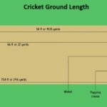 Cricket Ground Length