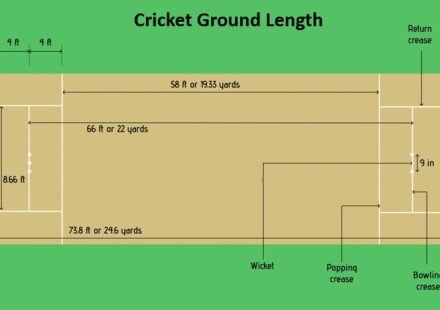 Cricket Ground Length