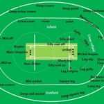 Cricket Ground Specifications