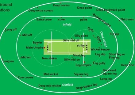 Cricket Ground Specifications